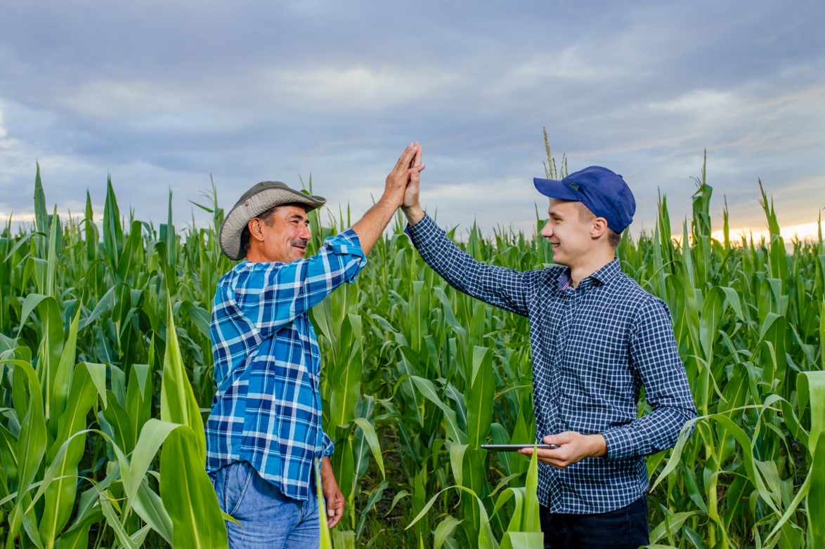 Farmers High-Fiving